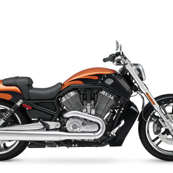 Harley Davidson V Rod