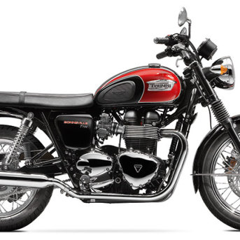 TRIUMPH Bonneville T100