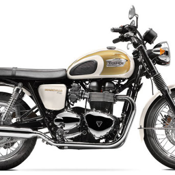 TRIUMPH Bonneville T100