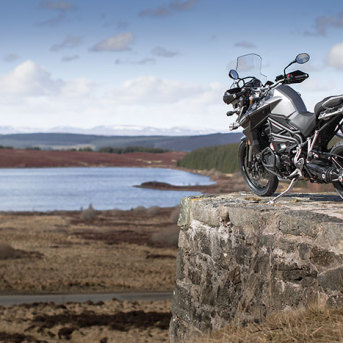 TRIUMPH Tiger Explorer