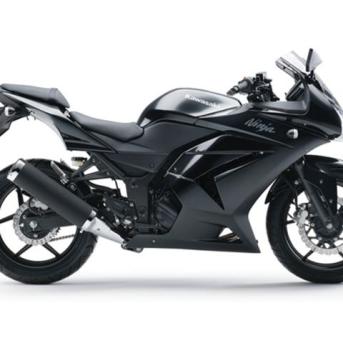Kawasaki Ninja 250R