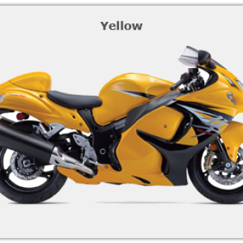 SUZUKI GSXR Hayabusa